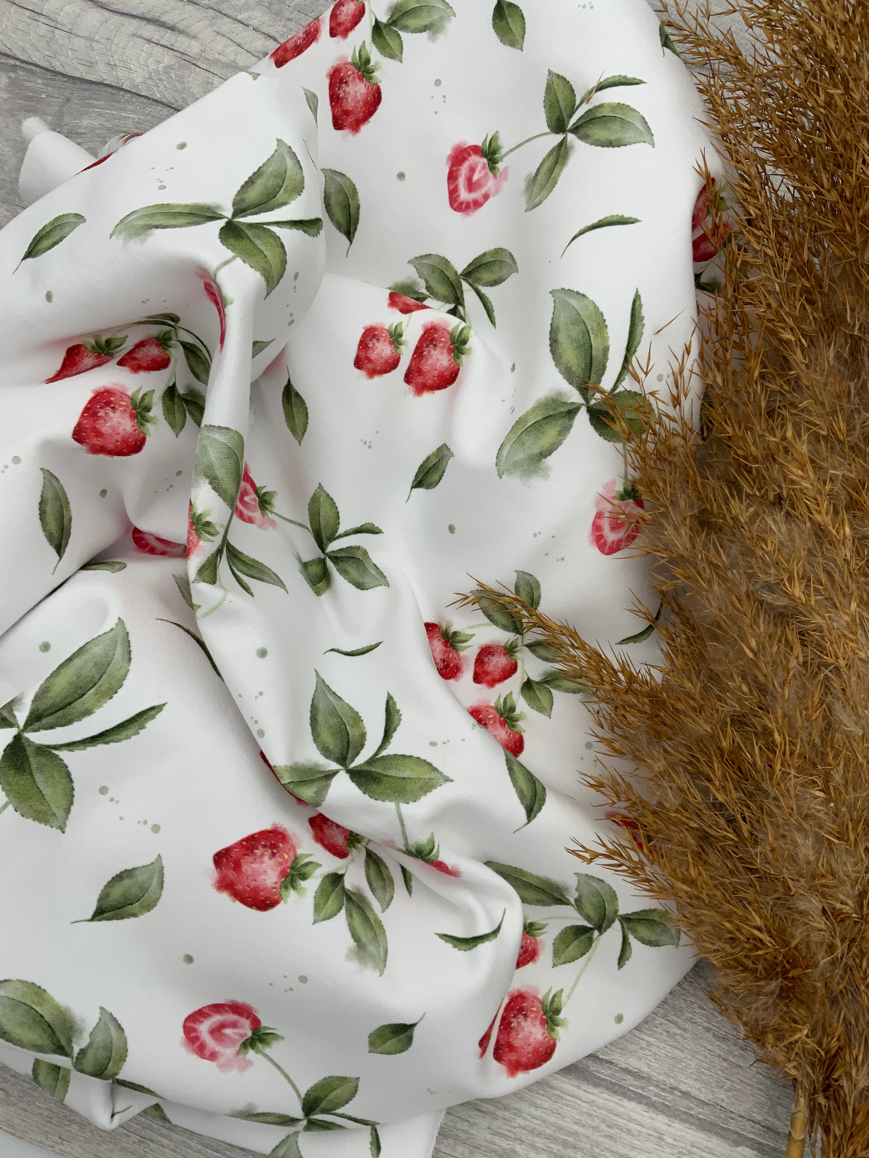 Erdbeeren Dauervorbestellung